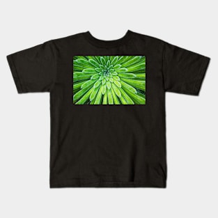 Succulent plant closeup Kids T-Shirt